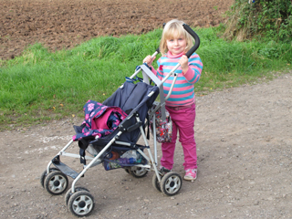 One pushes one's buggy